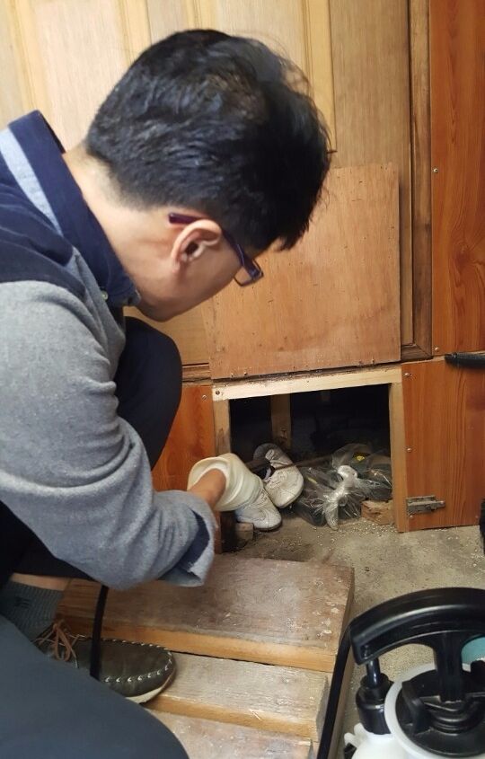 창고 살충작업