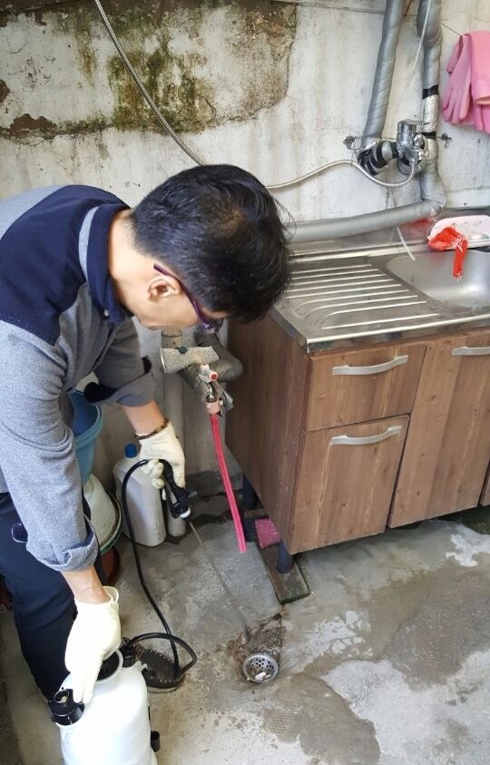 외부하수구 살충작업